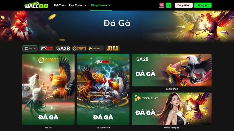 Kiểm tra tài khoản sau khi đăng nhập Ball88 để đảm bảo số dư và dữ liệu hiển thị chính xác